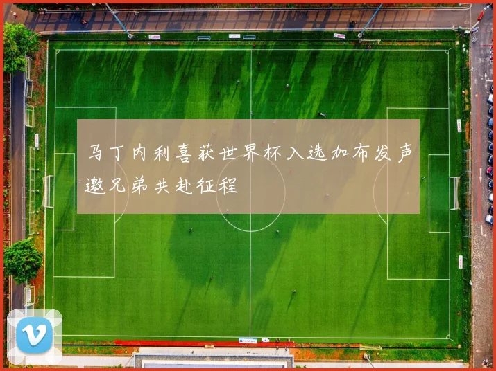 马丁内利喜获世界杯入选加布发声邀兄弟共赴征程