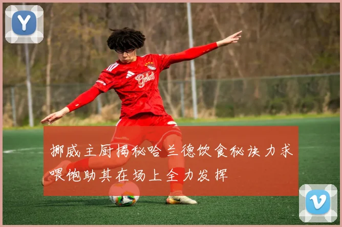 挪威主厨揭秘哈兰德饮食秘诀力求喂饱助其在场上全力发挥